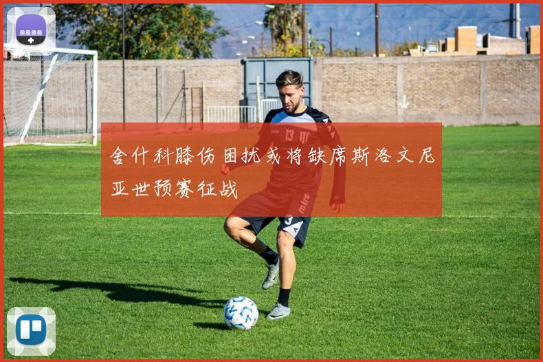 舍什科膝伤困扰或将缺席斯洛文尼亚世预赛征战