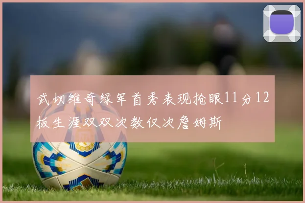 武切维奇绿军首秀表现抢眼11分12板生涯双双次数仅次詹姆斯
