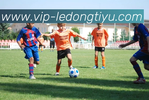 乐动体育发展历程