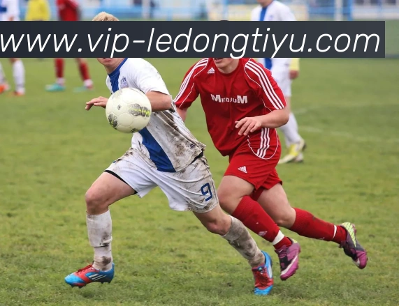 麦丹自信谈中锋角色我能胜任多种位置展现全能实力