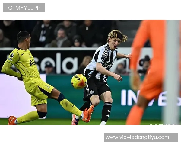 英超后卫进球榜揭晓范德芬领衔6球罗梅罗查洛巴廷伯紧随其后 英超后卫进球榜揭晓范德芬领衔6球罗梅罗查洛巴廷伯紧随其后